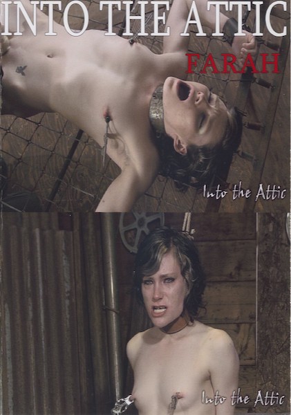 Into The Attic Bdsm