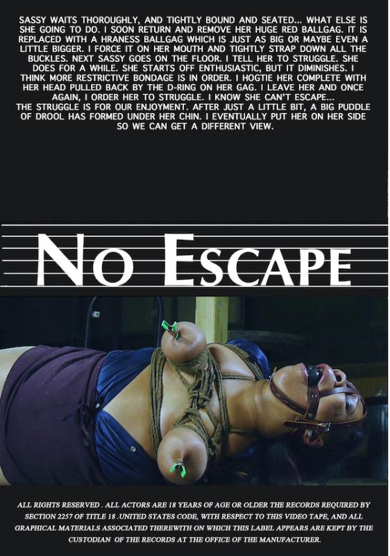 No Escape - Sassy Hogtied