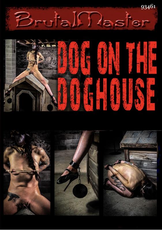 Brutal Master - Dog On The Doghouse