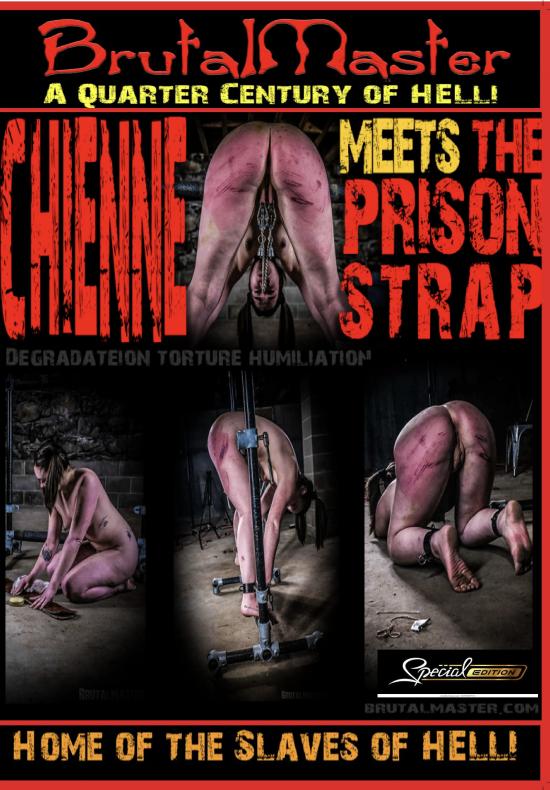 Brutal Master - The Slaves of Hell! - Vol. 7 - Chienne Meets The Prison Strap
