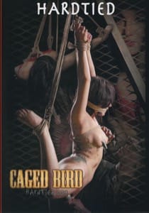 Insex - Caged Bird