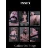Insex - Calico on Stage