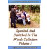 Spanked and Switched in the Woods collection Vol.1