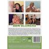 Bbw Blowers