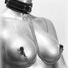 COVETED COLLAR AND CLAMP