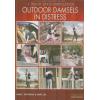 Brian Davis BDSM - Outdoor Damsels in Distress