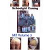 Schoolgirl Caning 3 - Male/ Female