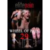 Wheel of Pain 29