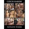 Czech Harem - Fantastic Pussies