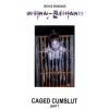 Infernal Restraints - Cage Cumslut 1