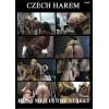 Czech Harem - Hunt men in the street