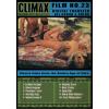 Color Climax - Film No. 23