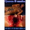 Queensnake - Best of Deviant BDSM 2