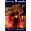 Queensnake - Best of Deviant BDSM 2