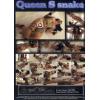 Queensnake - Best of Deviant BDSM 5