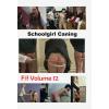 Schoolgirl Caning - F/F Volume 12
