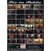 Sex in Public - Dirty Whore of Berlin