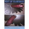 Best of Gloryhole - Volume 3