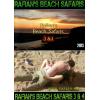 Rafian's Beach Safari - Volume 3 & 4