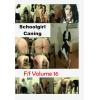 Schoolgirl Caning - F/F Volume 16