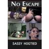 No Escape - Sassy Hogtied