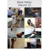 Black Marks - Volume 12