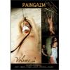 Paingazm - Volume 2