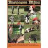 Baroness Bijou - The Mistress #2