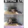 Bondage Life #1 - Bondage Fantasies