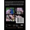 HardTied - The Promotion & Escalated