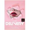 Fancy Steel - The Delivery
