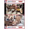 Pornbox - The Hot Wife Tour Miami Orgy