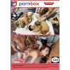 Pornbox - The Hotwife Tour Los Angeles SE
