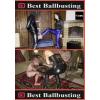 Ballbusting and CBT #5