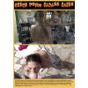 Czech Porn Badass Babes - Vacation Affairs #7