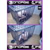 Bondage Life #5 - Bondage Fantasies
