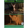 Wildeer Studio - Lara and Zoey's Lewd Adventure