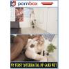 Pornbox - My First Interracial DP goes Wet, Lexi Star
