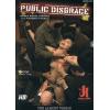 Public Disgrace - The Almost Virgin