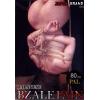 Japanese Bzale Pain 5