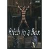 Bitch In A Box