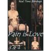 Pain Is Love