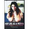 Her Life as a pet 13