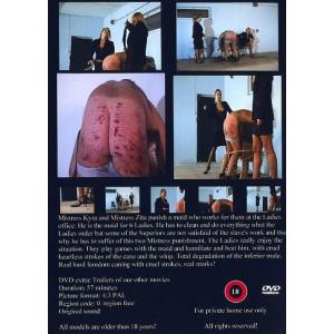 Office Maid Punishment