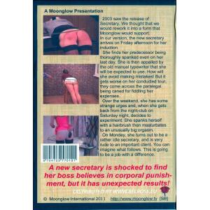 Secretary Moonglow Style