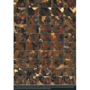 Asian Candy Shop - Asian Candy Shop Vol.2