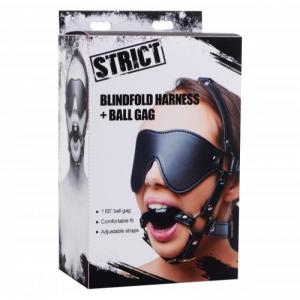 Blindfold Harness and Ball Gag