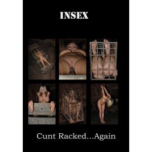 Insex - Cunt Racked Again