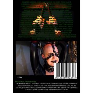 Insex - Double Features