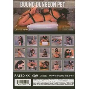 Bryan Davis - Bound Dungeon Pet